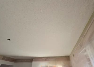 Drywall Finishers